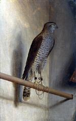 欧洲12-19世纪油画一_BARBARI, Jacopo de' - A Sparrowhawk